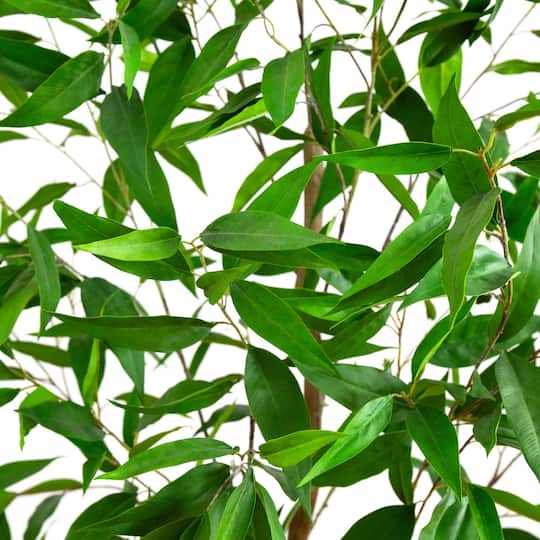 7ft. Potted Long Leaf Greco Eucalyptus Tree with Real Touch Leaves